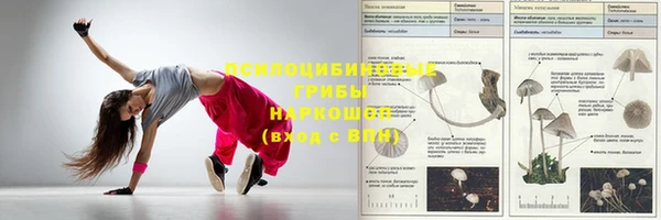 кокс Дмитриев