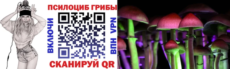 Галлюциногенные грибы мицелий  Купить где  Тотьма 