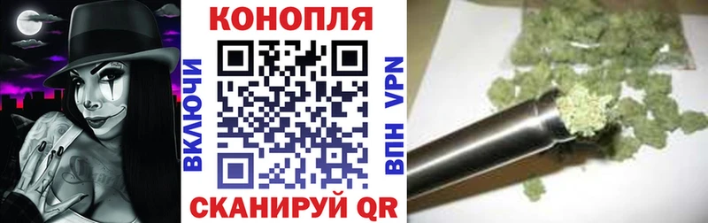 Бошки Шишки планчик  Купить закладки  Тотьма 